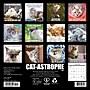 2027 Willow Creek Cat-astrophe 7" x 7" Monthly Wall Calendar (63941)~#|#~A883F3E6-D117-4E7F-9B98FAA779209512_sc7