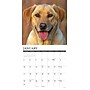 2027 Willow Creek Yellow Labs 12" x 12" Monthly Wall Calendar, Assorted Colors (63095)~#|#~A887FDD6-7ED2-49A6-A43802E877E4E9AE_sc7