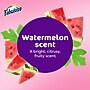 Fabuloso Multi-Purpose Cleaner, Watermelon Scent, 169 oz., 3/Carton (61051624CT)~#|#~A88F0192-089F-4E4C-BC0A37577FD803F4_sc7