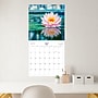 2025-2026 Blue Sky Flower of the Month 12" x 12" Academic Monthly Wall Calendar, Assorted Colors (155814)~#|#~A8A7938A-70D3-4098-B55E0D4C3027EA96_sc7