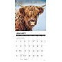 2026 Willow Creek Highland Cows 12" x 12" Monthly Wall Calendar (51474X)~#|#~A8A94290-9698-41C0-A6F8EDB2F2E1FA48_sc7