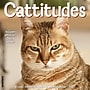 2027 Willow Creek Cattitudes 12" x 12" Monthly Wall Calendar, Assorted Colors (59609)~#|#~A8BC8358-E0E9-4C7A-9ABA879A6472D3A9_sc7