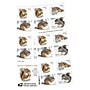 USPS Squirrels & Chipmunks in Snow Forever 20 Postage Stamps (FOR-SQUIRREL-20)~#|#~A8C0CCE5-8356-4346-B6990B26E62DD57D_sc7