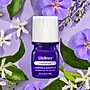 Lifelines ClickWick Fresh Citrus Essential Oil Replacements, .25 oz., 2/Pack (110454)~#|#~A8C3F3D4-4891-4794-A1FCFC761405C186_sc7