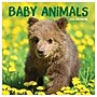 2027 TF Publishing Baby Animals 11" x 12" Monthly Wall Calendar (27-1000)~#|#~A8C5C012-6061-439D-A41B4EA28275156F_sc7