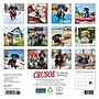 2026 Willow Creek Crusoe the Celebrity Dachshund 7" x 7" Monthly Wall Calendar (53539)~#|#~A8CFBA78-4EBE-44CE-8B33A37E0C242281_sc7