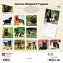 2026 BrownTrout German Shepherd Puppies 12" x 12" Monthly Wall Calendar (9798330703364)~#|#~A8FF51B7-FAE1-439E-80E4D06FF3698572_sc7