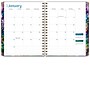 2027 Excello Brands 9" x 11" Weekly & Monthly Standard Planner, Paperboard Cover, Watercolor Tree (FSHN-CY27-8511-43)~#|#~A90EB1B3-07C4-47C9-A7AA1687A7280FC5_sc7