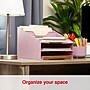 Staples 5-Compartment Plastic Desktop Organizer, Dusty Pink (ST63874)~#|#~A914CA9E-81CD-4BC9-B549C82519B836E5_sc7