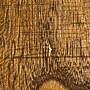 Storied Home Paulownia 9.8"Dia. Wooden Round Accent Table, Brown (EC1709)~#|#~A944FE1B-4A47-4402-A13B290342C5C543_sc7