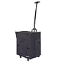 Dbest Smart Cart Rolling Multipurpose Collapsible Basket, Blackout (01-769MB)~#|#~A9491B21-3328-4B47-A855785F9F2BAD43_sc7