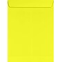 JAM Paper Self Seal Nonstandard Booklet Envelope, 9" x 12", Citrus, 50/Pack (LUX-4894-L20-50)~#|#~A95A8D51-601E-436C-BF3A03961D59B7D4_sc7