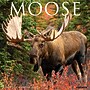 2027 Willow Creek Moose 12" x 12" Monthly Wall Calendar, Assorted Colors (61329)~#|#~A95C0845-DEDA-451C-A8F5DFC8A157AA85_sc7