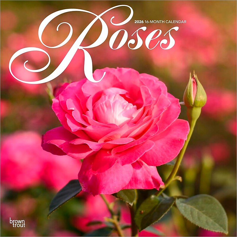 2026 BrownTrout Roses 12" x 12" Monthly Wall Calendar (9798330705382) image 1