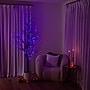 Nearly Natural Pre-Lit Halloween Deluxe Black Twig Artificial Tree, 7' (T5171)~#|#~A96D366D-D768-4CCC-A4A48E0C08DEA45C_sc7