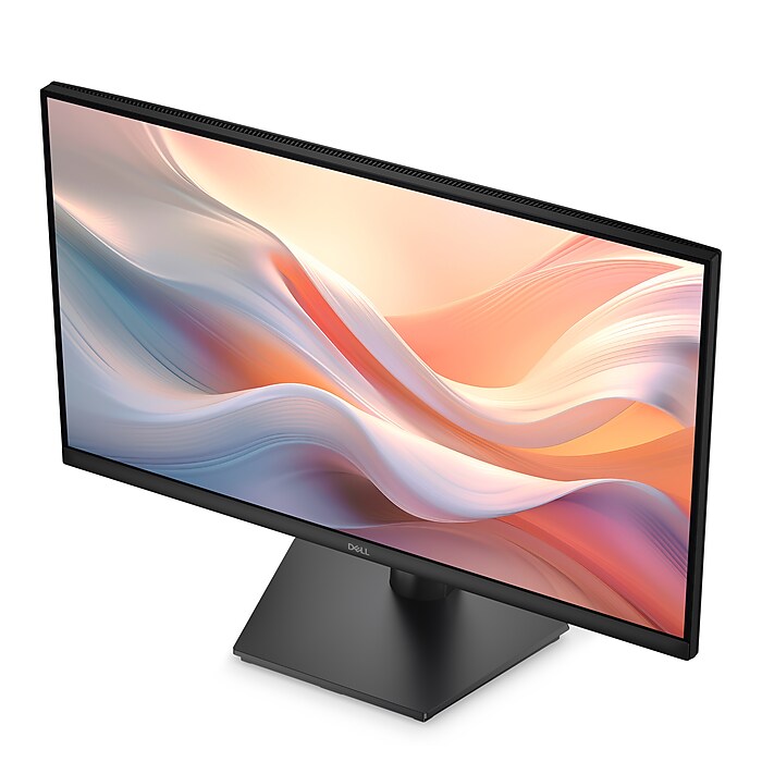 Dell 24