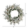 Nearly Natural 24-in Flocked Artificial Christmas Wreath with 50 LED Lights (W1128)~#|#~A9866D41-01AF-4F70-9E57CC7CA4AF4D9E_sc7
