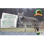 Just Scentsational by Bare Ground Coyote Urine Repellent for Multiple Pests, 2 oz. (RS-2)~#|#~A98D5392-7886-4FC9-9E762ABFF48ED6F1_sc7