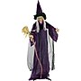 Haunted Hill Farm Life-Size Animatronic Witch with Broomstick (HHWITCH-5FLSA)~#|#~A9A7E190-F52B-4C33-ADEFC37196D3D5A5_sc7