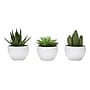 Monarch Specialties Inc. 6" Artificial Succulent Plant in Pot, 3/Set (I 9555)~#|#~A9ABFA83-662D-44FA-923B2575BA1DAC1E_sc7