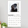 2027 TF Publishing Best Day Ever: Dogs 12" x 12" Monthly Wall Calendar (27-1001)~#|#~A9BB7851-FDD7-4383-B504D4CC363F9FE5_sc7