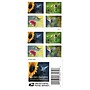 USPS Garden Delights Forever 20 Postage Stamps (FOR-GARDENDE-20)~#|#~A9BDB676-A056-44E0-AABDAB781A8CD44C_sc7