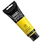 Liquitex BASICS Acrylic Paint, Transparent Yellow, 118 mL (LIQ1046045)~#|#~A9BF8B95-460D-465C-BD3A54779370E26A_sc7