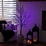 Nearly Natural Pre-Lit Halloween Minimalist Twig Artificial Fall Tree, 5' (T5161)~#|#~A9E5149C-8A8A-4675-A62C069CB9FB779F_sc7