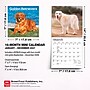 2027 BrownTrout Golden Retrievers 7" x 7" Monthly Wall Calendar, Assorted Colors (9798330714209)~#|#~AA241D44-4373-491D-AB04CC3196C165CA_sc7