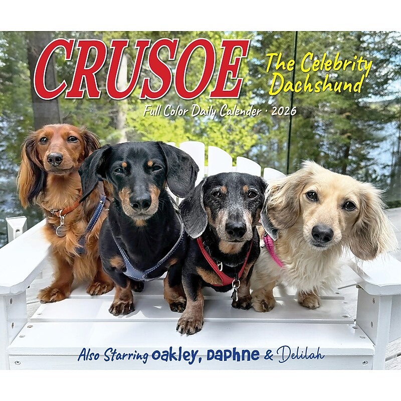 2026 Willow Creek Crusoe the Celebrity Dachshund 6.2" x 5.4" Day-to-Day Calendar (54086) image 1