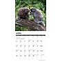 2026 Willow Creek Porcupines 12" x 12" Monthly Wall Calendar (56066)~#|#~AA3527F4-2DE2-41B3-BAB33837CFAB68FE_sc7