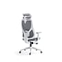 Raynor Group Torque Ergonomic Fabric/Mesh Swivel Manager Chair, Grey/White (TORQUE-WF-GRY )~#|#~AA4E2307-BB2F-46D7-A9A9336DD4880FB7_sc7