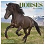 2027 TF Publishing Horses 12" x 12" Monthly Wall Calendar (27-1012)~#|#~AA625518-DBB0-40F2-92BED671628280BC_sc7