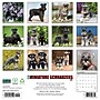 2027 Willow Creek Miniature Schnauzers 12" x 12" Monthly Wall Calendar, Assorted Colors (61220)~#|#~AA644982-06A5-4836-8131C6915A0CC9BB_sc7