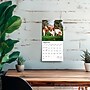 2026 BrownTrout Basset Hounds 7" x 7" Monthly Wall Calendar (9798330702312)~#|#~AA71213B-AACE-47B8-A2F4C7BA6667D2C5_sc7
