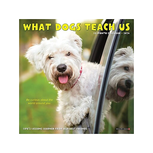 2024 Willow Creek What Dogs Teach Us 7" x 7" Monthly Wall Calendar