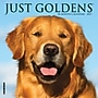 2027 Willow Creek Just Goldens 7" x 7" Monthly Wall Calendar, Assorted Colors (64047)~#|#~AA8860BE-1B22-4D23-8686AB027318B03D_sc7