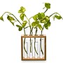 Supertek Square Plant Holder (SKFBLSP1003B)~#|#~AA9AB612-B745-4E3E-BC6BB5FCB36B181D_sc7