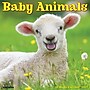 2027 Willow Creek Baby Animals 12" x 12" Monthly Wall Calendar (58954)~#|#~AA9AB659-100B-47CA-A7CA40A266698F97_sc7