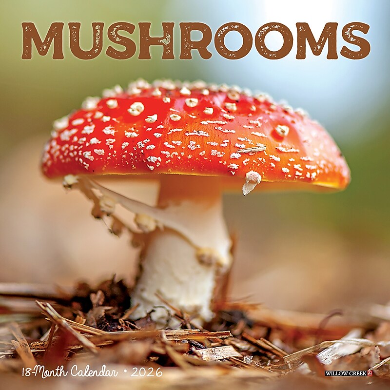 2026 Willow Creek Mushrooms 7" x 7" Monthly Wall Calendar (53652) image 1