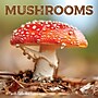 2026 Willow Creek Mushrooms 7" x 7" Monthly Wall Calendar (53652)~#|#~AA9F1DA6-238B-4C30-AFEE851EE6323B0E_sc7
