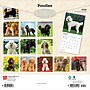 2026 BrownTrout Poodles 12" x 12" Monthly Wall Calendar (9798330705160)~#|#~AAB3C4F7-3D02-46C8-9F83792447FF00B4_sc7