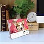 2026 Willow Creek Corgis 6.2" x 5.4" Day-to-Day Calendar (54079)~#|#~AABEE9A4-BBCE-4B50-8512C831E3A9C769_sc7