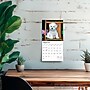 2026 BrownTrout Bichon Frise Puppies 7" x 7" Monthly Wall Calendar (9798330702428)~#|#~AAC716FF-D60C-4BE7-B909D2F110E0DEC8_sc7