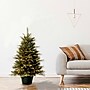 National Tree Company Everyday Collection Artificial Christmas Trees ED3-307-30~#|#~AAE20208-2A1D-4BEA-820302D189AB630F_sc7