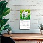 2026 BrownTrout Baby Goats 7" x 7" Monthly Wall Calendar (9798330702251)~#|#~AAE93297-542A-4CB8-83562EDD1F3EDDDE_sc7