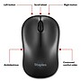 Staples TECH Wireless Ambidextrous Optical USB Mouse, Black (ST62601)~#|#~AB02401E-3EEB-4B9E-813372DC74F54089_sc7
