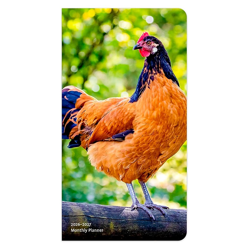 2026-2027 BrownTrout Chickens 3.5" x 6.5" Monthly Planner (9798330702886) image 1