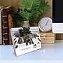 2027 Willow Creek Bad Kitties 6.2" x 5.4" Daily Day-to-Day Calendar, Assorted Colors (63293)~#|#~AB361A15-8451-48CE-802CA1D440111E30_sc7