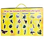 Insect Lore Life Cycle Figurines Set, 24 Pieces (ILP2205)~#|#~AB40B71A-4C59-46F6-B5020A35E16C5D69_sc7